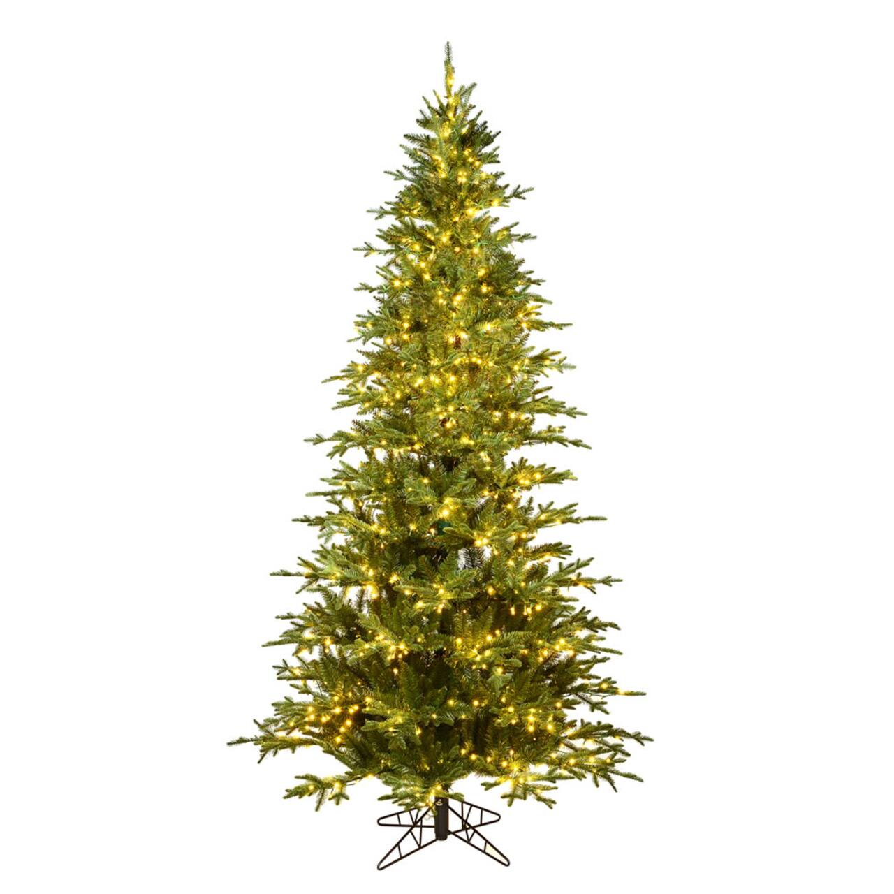 9ft. Pre-Lit Kamas Fraser Fir Artificial Christmas Tree, Warm White Low Voltage LED Lights